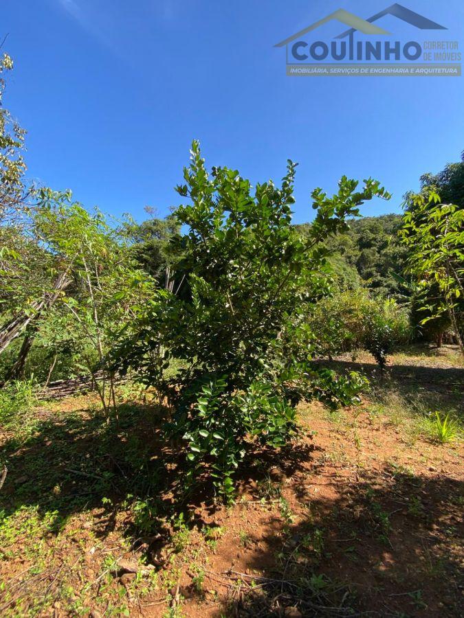 WhatsApp Image 2025-04-08 at 14.20.36.jpeg